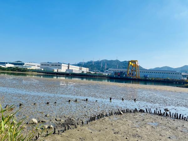 창원특례시, 마산만 봉암갯벌 해양보호구역 관리 발벗고 나서창원특례시, 마산만 봉암갯벌 해양보호구역 관리 발벗고 나서 (수산과) (1).jpeg