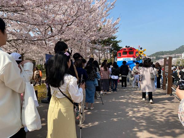 ‘인파만파’제61회 진해군항제 450만여 명 찾아 ‘안전축제 성료’ ‘인파만파’제61회 진해군항제 450만여 명 찾아 ‘안전축제 성료’ (1).jpeg