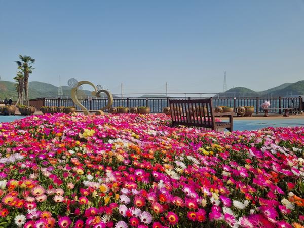 창원특례시,‘벚꽃 엔딩’아쉽다면 돝섬으로 꽃놀이 와요창원특례시,‘벚꽃 엔딩’아쉽다면 돝섬으로 꽃놀이 와요 (2).jpeg