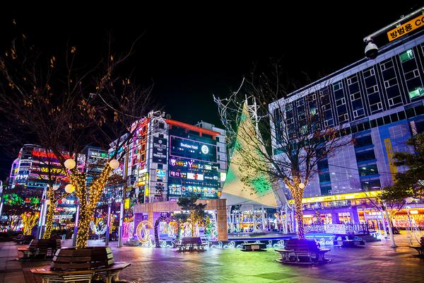 창원시, 연말연시 로맨틱한 빛거리와 해돋이 명소 가득 창원시, 연말연시 로맨틱한 빛거리와 해돋이 명소 가득 (1).jpg