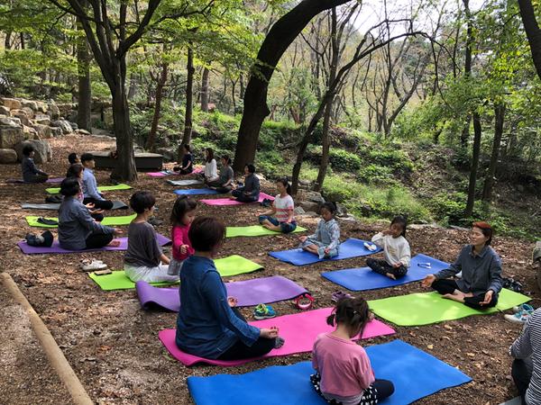 창원생태관광 '편백숲 욕먹는 여행' 체험 프로그램 운영 시작(관광과)창원생태관광 '편백숲 욕먹는 여행' 체험 프로그램 운영 시작(관광과) (1).JPG
