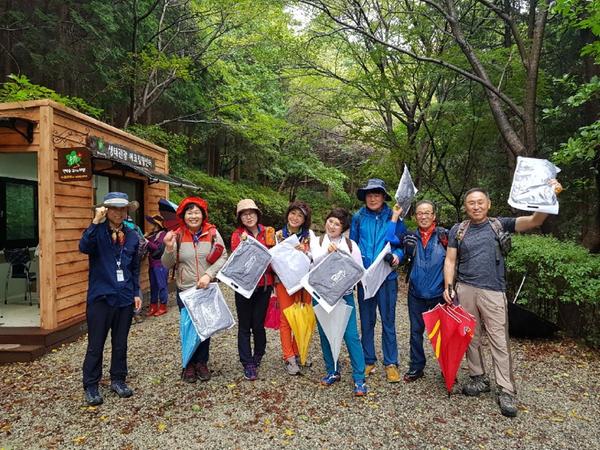 가을 단풍과 함께, 창원생태관광&lsquo;편백숲 浴(욕)먹는 여행&rsquo; 인기 절정 가을 단풍과 함께, 창원생태관광‘편백숲 浴(욕)먹는 여행’ 인기 절정 (1).jpg