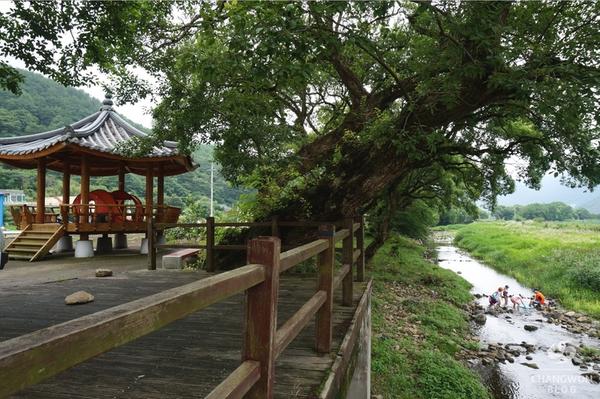 외유내강의 고장, 진전면(거락숲).1.외유내강의 고장, 진전면(거락숲).jpg