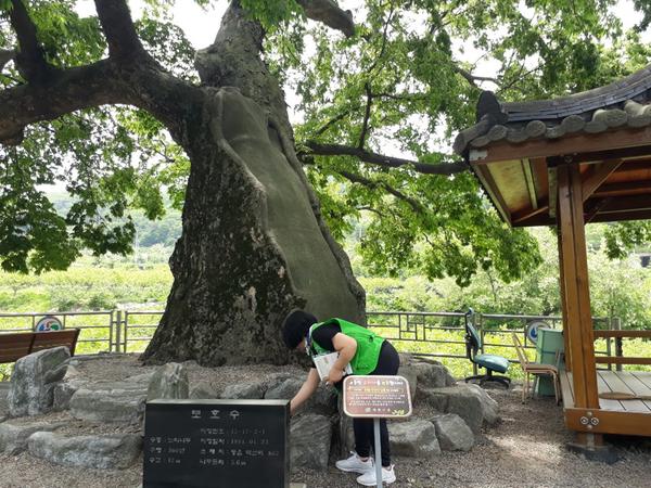 창원시, 문화재지킴이 자원봉사 활동 전개 창원시, 문화재지킴이 자원봉사 활동 전개 (2).jpg