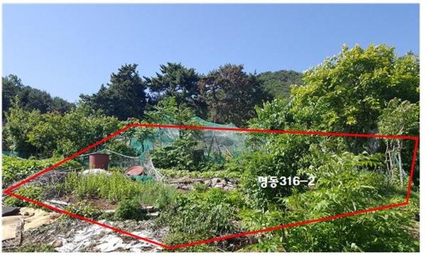 진해구 명동 316-2(근).JPG