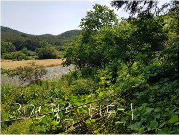 마산합포구 진전면 봉곡리 515-1(근).JPG