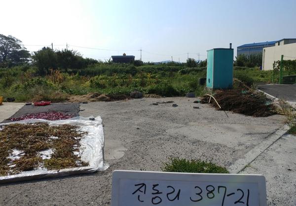 마산합포구 진동면 진동리 387-21(근).JPG