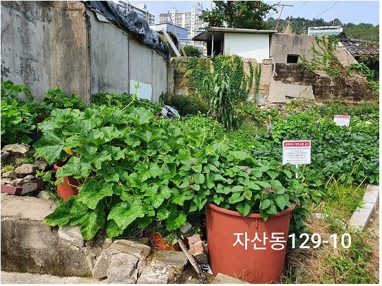 마산합포구 자산동 129-10(근).JPG