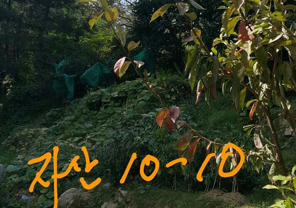마산합포구 자산동 10-10(근).JPG