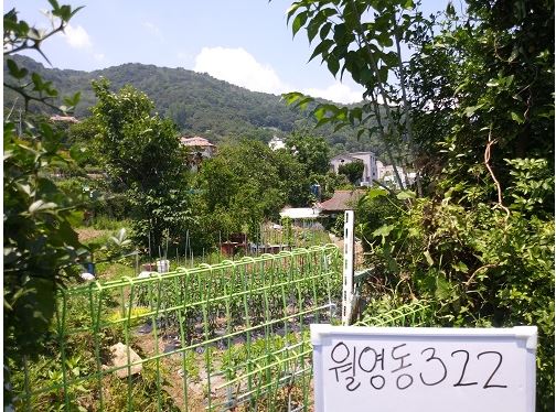 마산합포구 월영동 322(근).JPG
