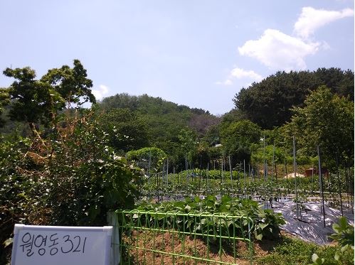 마산합포구 월영동 321(근).JPG