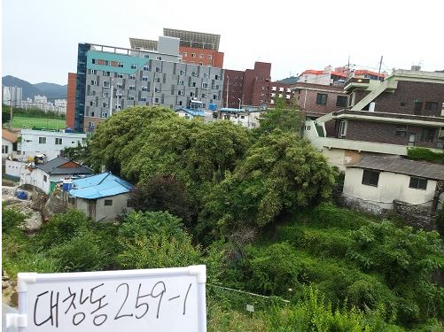 마산합포구 대창동 259-1(근).JPG