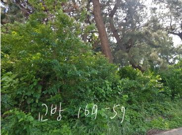 마산합포구 교방동 169-57(근).JPG