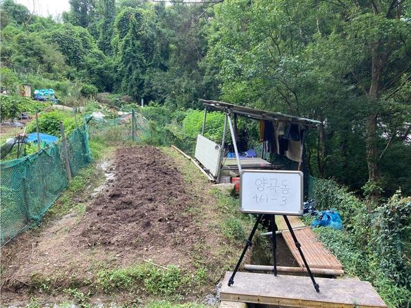 성산구 양곡동 461-3(근).JPG