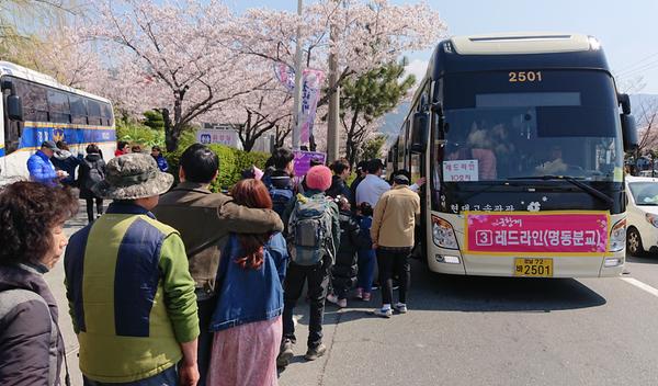 벚꽃 블라썸! 창원시 교통정책 빛났다!.벚꽃 블라썸! 창원시 교통정책 빛났다!.jpg