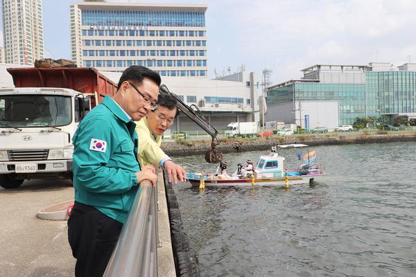 수과원, 마산항 내 정어리 집단폐사 원인 산소부족이라고 밝혀