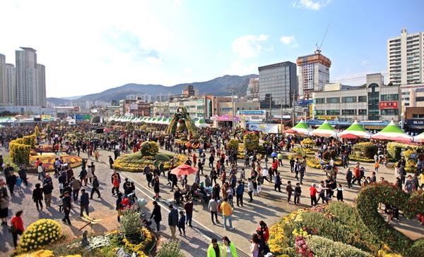                        마산가고파국화축제, 사람이 꽃보다 많아마산가고파국화축제, 사람이 꽃보다 많아.jpg