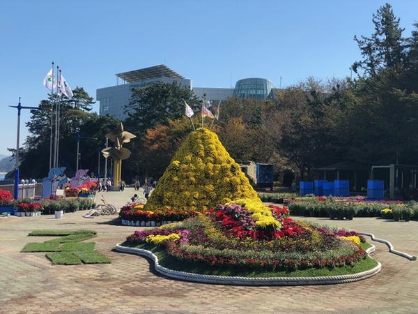 창원시&ldquo;진해해양공원에서도 국화향에 빠져보세요&rdquo;.창원시“진해해양공원에서도 국화향에 빠져보세요”.jpg