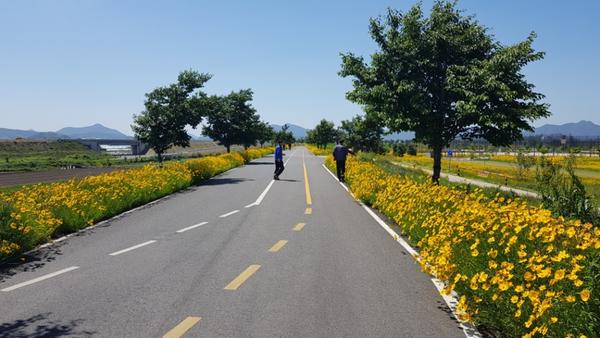                   낙동강변낙동강변.jpeg