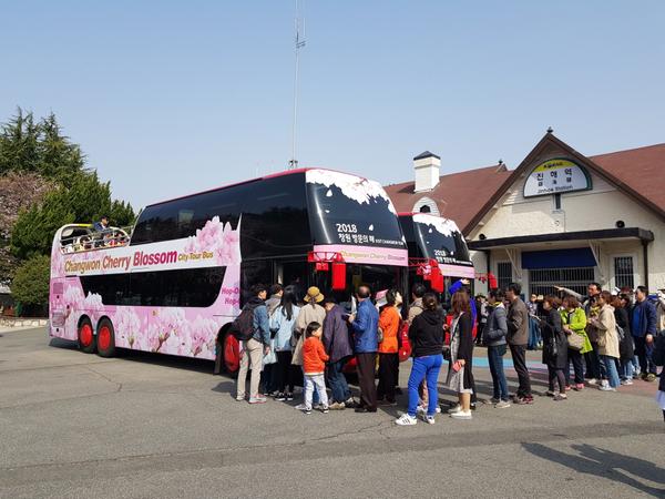                           창원체리블라썸 2층버스&rsquo;군항제 대표아이템으로 자리매김 창원체리블라썸 2층버스’군항제 대표아이템으로 자리매김 (2).jpg