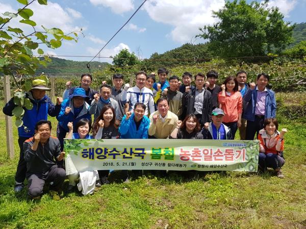                창원시 해양수산국, 농촌 일손돕기 창원시 해양수산국, 농촌 일손돕기 (1).jpg