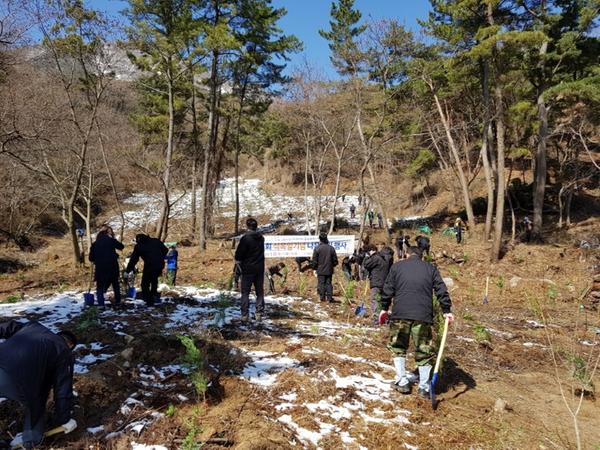                  제73회 식목일 나무심기 행사 제73회 식목일 나무심기 행사 (2).jpg