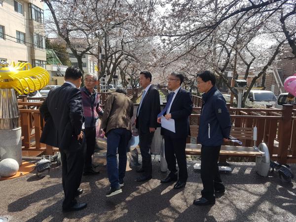                    진해군항제 준비현장 상황 점검진해군항제 준비현장 상황 점검.jpg