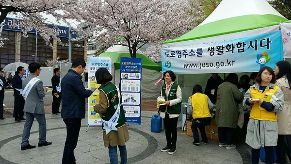               도로명주소 벚꽃따라 길찾기 홍보 도로명주소 벚꽃따라 길찾기 홍보  (1).JPG