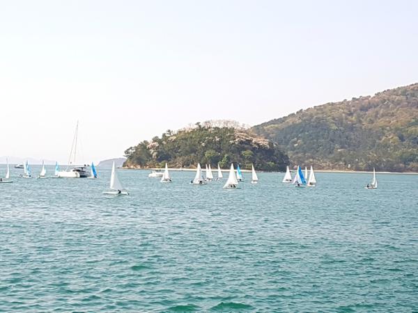               제6회 창원시 요트협회장배 전국 요트 대회제6회 창원시 요트협회장배 전국 요트 대회.jpg