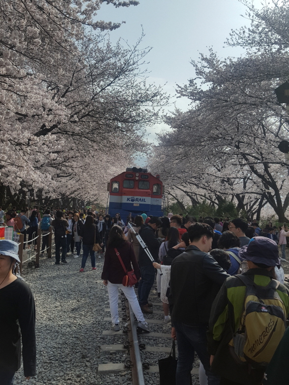                                   경화역경화역.jpg