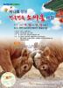 소싸움.JPG
