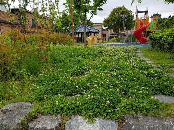 어린이놀이터 출입구의 꼭찬 토끼풀로 출입이 어렵습니다