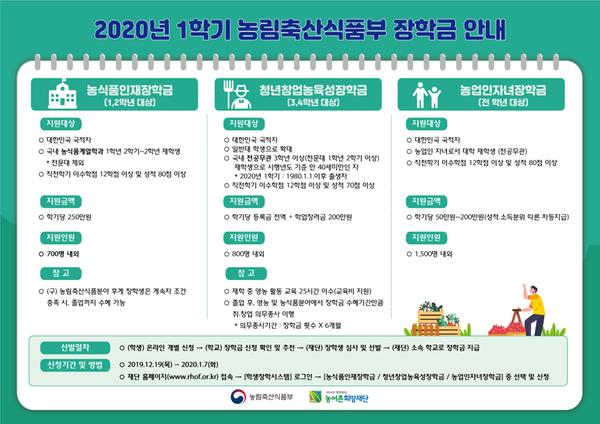리플렛  