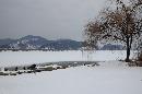 IMG_0272.JPG