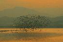 IMG_5384.JPG