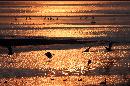 IMG_3483.jpg
