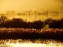 DSC09557.JPG