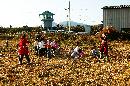 70CW0588_RT8.jpg