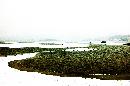 20071204035.jpg