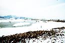 20071204038.jpg