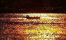 20071204043.jpg