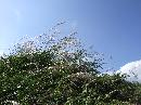 20071204039.JPG