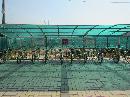 IMG_0155.JPG