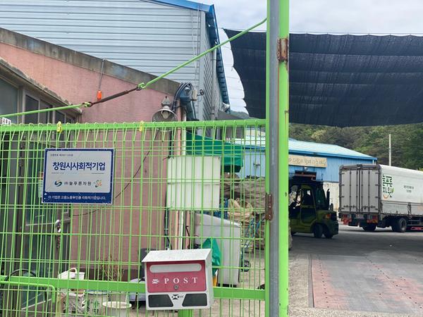 늘푸른자원