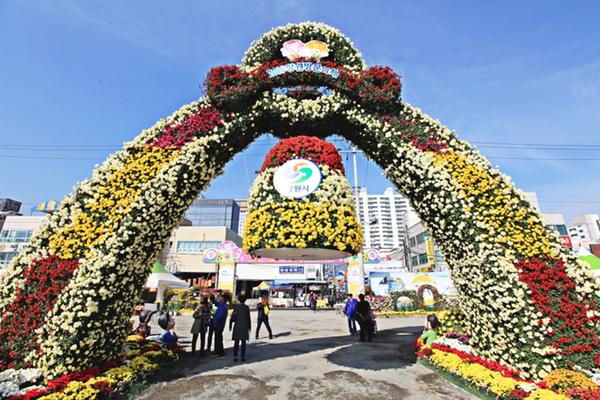 제18회 마산가고파국화축제