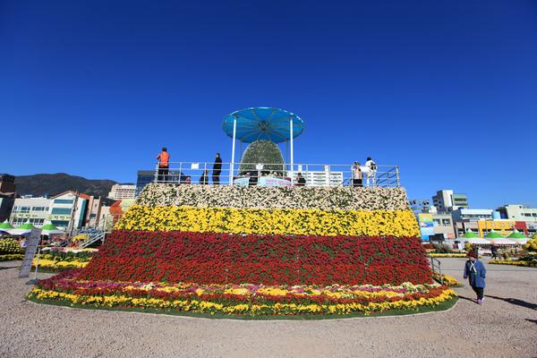 제17회 마산가고파국화축제 전망대