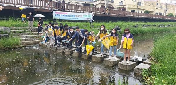 산호천 미꾸라지 방류1