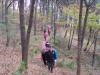 SDC10742.JPG