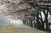 경화역.jpg