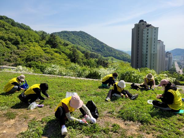 캠프지기 및 자원봉사자 쑥캐기